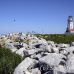 lighthouse_island_seal_machias_h_2979_can1628.jpg